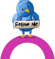 twittereorkutredessociais278x300PQ.jpg