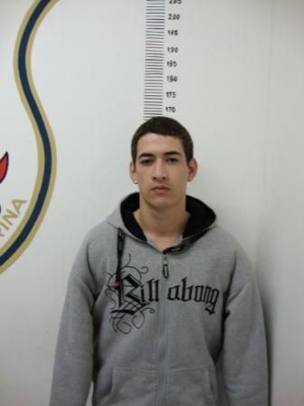 maurisilvadelimapulga2010MD.jpg