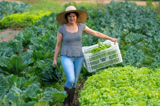 Jovens e mulheres tero prioridade em programas da Agricultura de SC