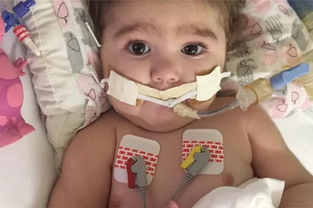 Agapa promove pedgio em prol da menina Antonella no sbado em Gaspar