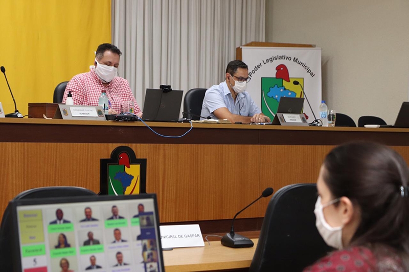 Cmara de Gaspar aprova projeto que cria ms de conscientizao contra abandono de animais