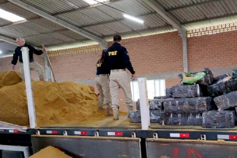 Mais de trs toneladas de maconha so encontradas em carga de farelo de milho em SC