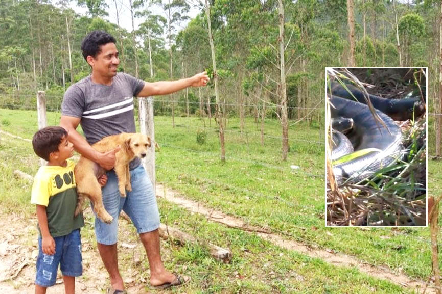 Fake news: morador do bairro Macuco causa pânico ao afirmar que cobra gigante foi vista em Gaspar