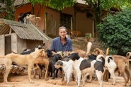 Abrigo de animais de Gaspar planeja fechar em 10 anos