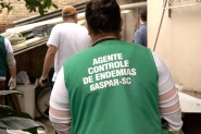 Casos de Dengue crescem 125% em Gaspar