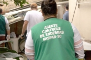 Gaspar confirma 361 casos de dengue em uma semana; saiba como evitar a proliferao do mosquito