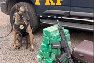  Adolescente que viajava de nibus com fuzil, munies e drogas  detida em SC