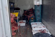 Vigilncia Sanitria apreende quase trs toneladas de carne estragada em aougue de Itaja