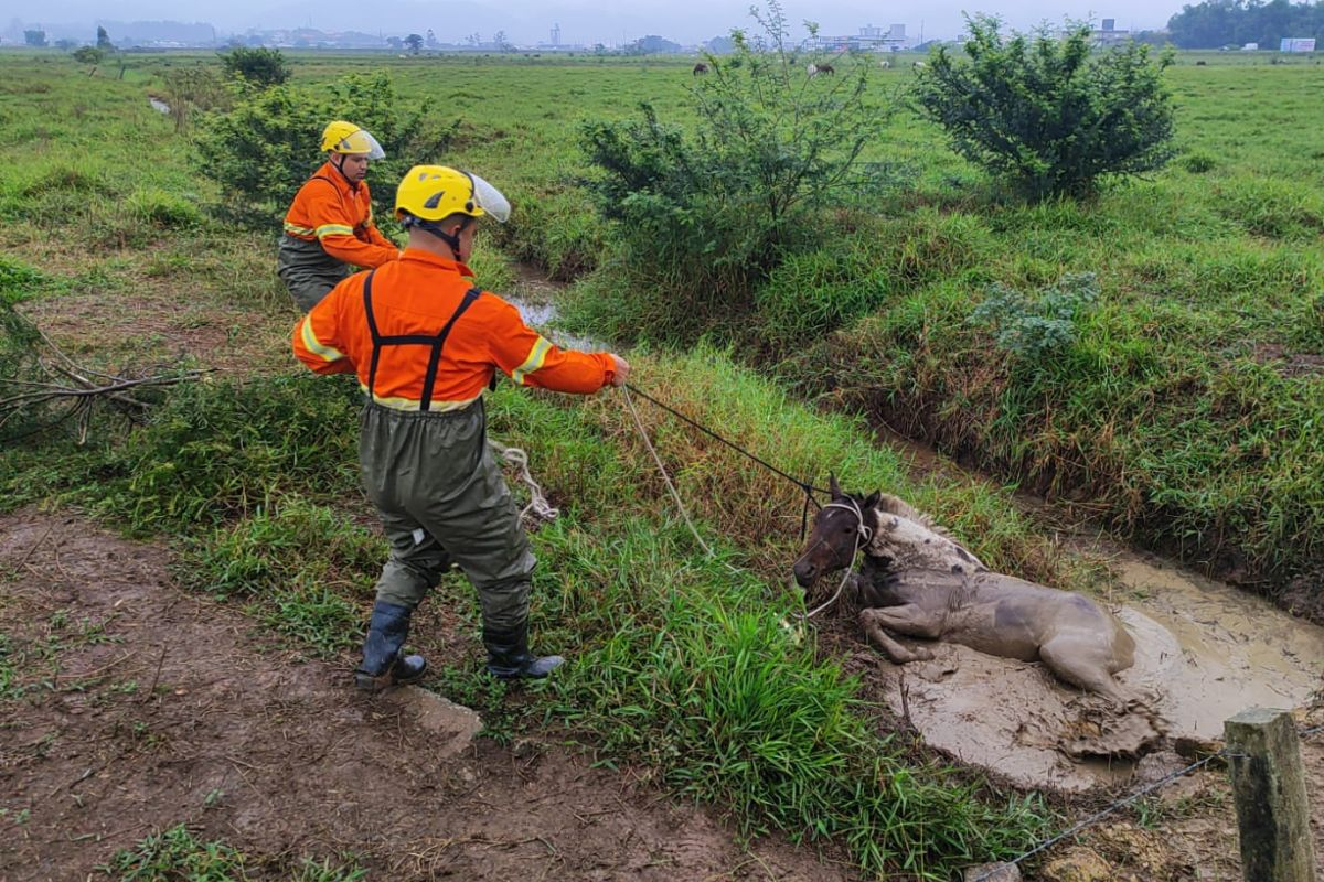 gua fica atolada em vala em Gaspar e bombeiros so acionados