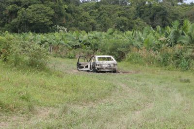 img0347MD.jpg