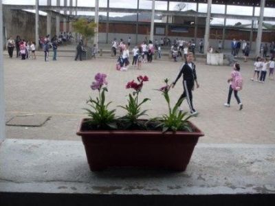 fotopg11abreMD.jpg