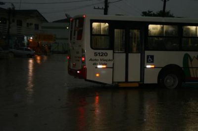 img7860resizedMD.jpg