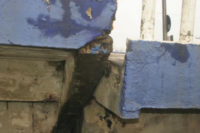 img7699resizedMD.jpg