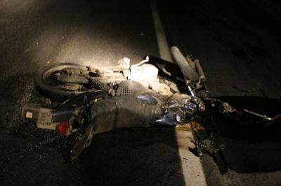 img7334800x533MD.jpg