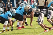 Black Hawks enfrenta Timb� Rex pela Liga Brasileira de Futebol Americano