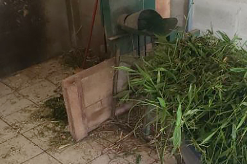 Homem perde ponta de trs dedos em triturador de cana em Ilhota