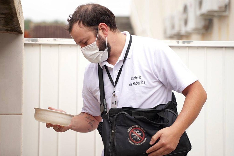 Aps aumento em 225%, primavera reacende alerta contra o Aedes aegypti em Gaspar