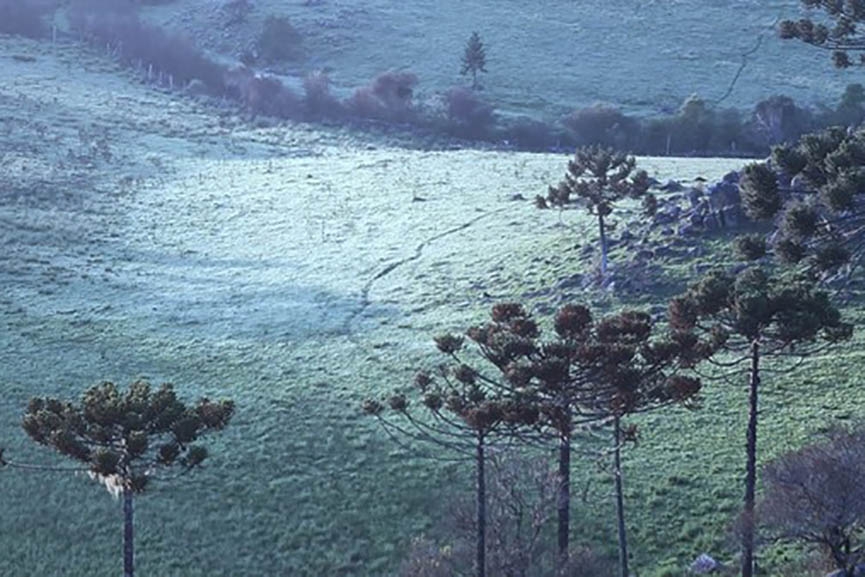Serra de Santa Catarina amanhece com geada e baixas temperaturas 