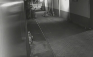 Vdeo mostra ladres roubando motor de cmara fria de mercado em Ilhota