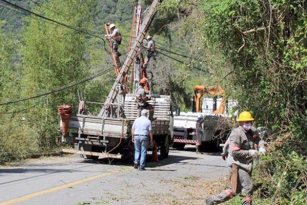 Vereadora pede que Procon cobre da Celesc poda de rvores no Distrito do Belchior, em Gaspar