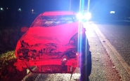 Cavalo morre aps ser atropelado por carro na BR-470, em Gaspar