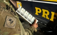 250 mil maos de cigarros vindos do Paraguai so encontrados escondidos em carreta na BR-101