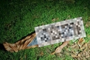Dvida de R$70 motivou assassinato com ocultao de cadver em Rio dos Cedros