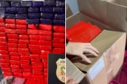 Polcia apreende 140kg de maconha em casa em Blumenau; traficante fugiu pela mata
