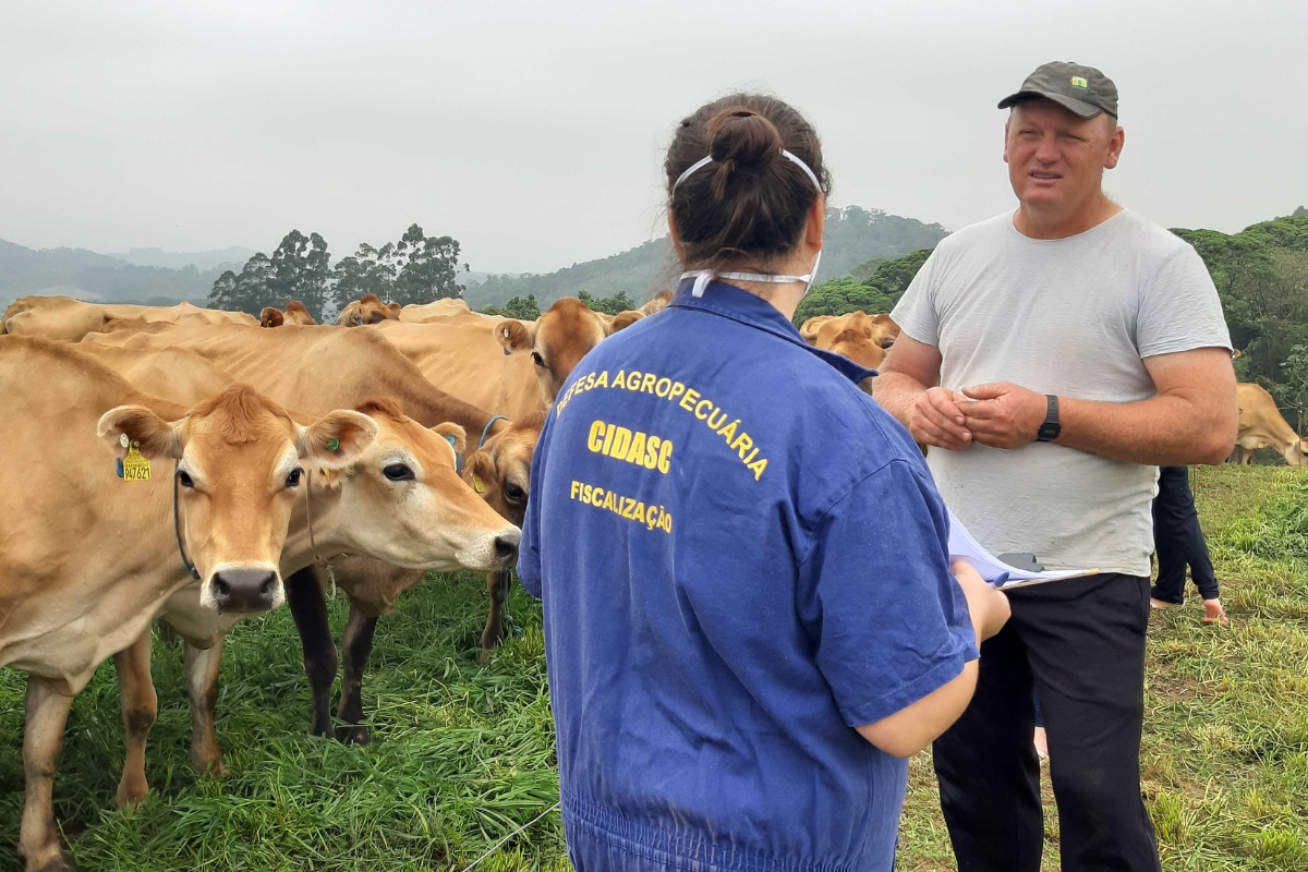 Aps caso de febre aftosa na Alemanha, secretaria da Agricultura lista cuidados com rebanhos em SC