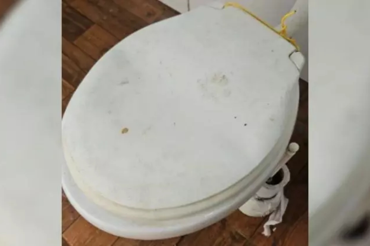 Suspeito de estuprar cadela  preso no Litoral de Santa Catarina