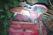 Homem e criana morrem aps caminho colidir contra rvores no Oeste de SC