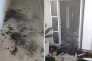 Vizinhos controlam princpio de incndio em casa no Bela Vista; chamas comearam em um vaso