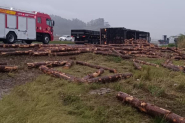 Carreta tomba e carga de toras se espalha na BR-470, em Ilhota