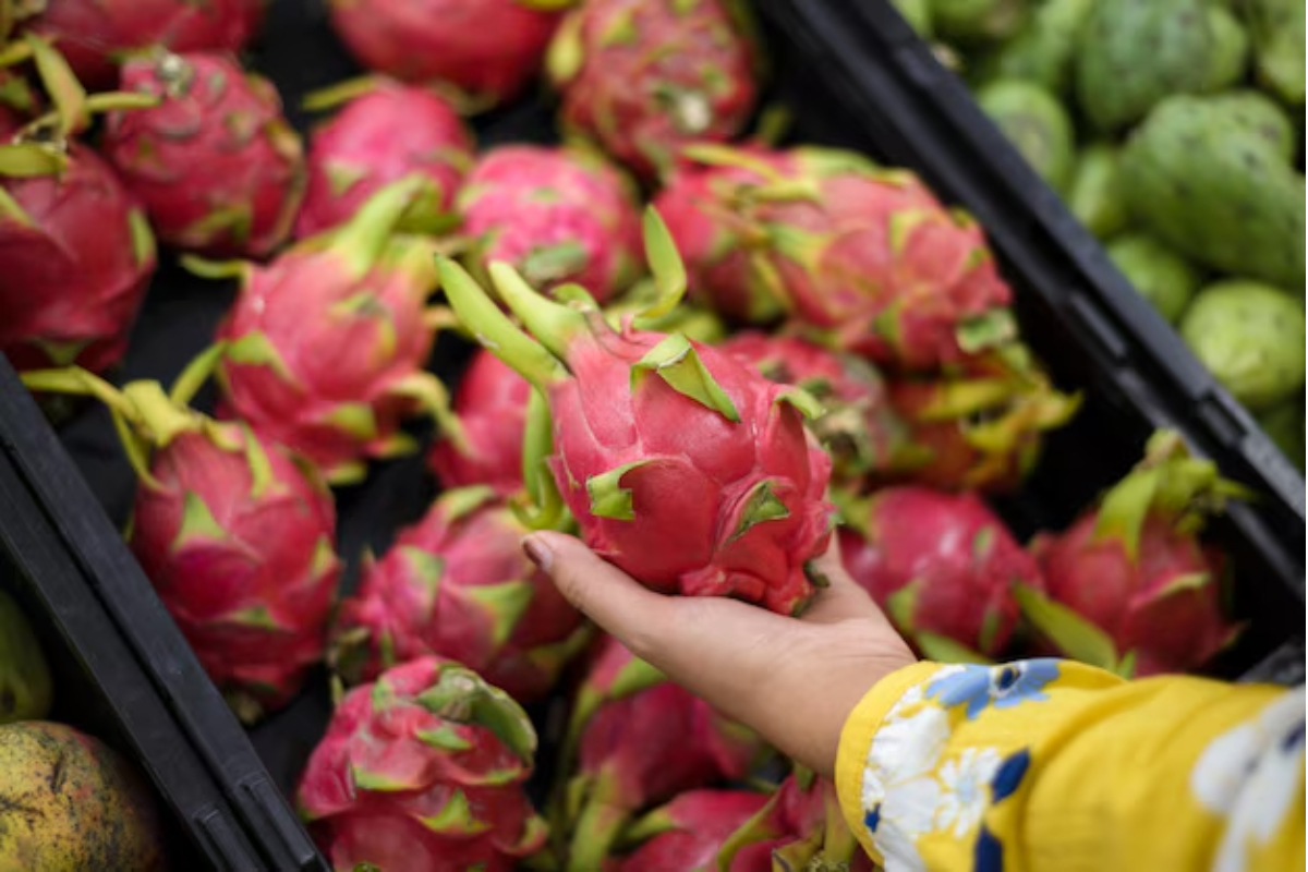 Inscri��es para Encontro de Fruticultura em Gaspar encerram nesta sexta