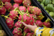 Inscri��es para Encontro de Fruticultura em Gaspar encerram nesta sexta