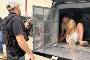 Jovem que atirou para ameaçar e causar terror em vítima é preso em Gaspar