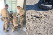 Morador encontra artefato explosivo e esquadr�o antibombas � acionado no Alto Vale
