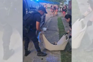 Tr�s jovens s�o apreendidos suspeitos de arremessar c�o de pr�dio abandonado em Itaja�: animal morreu