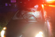 Atropelamento deixa homem gravemente ferido na BR-470, em Gaspar